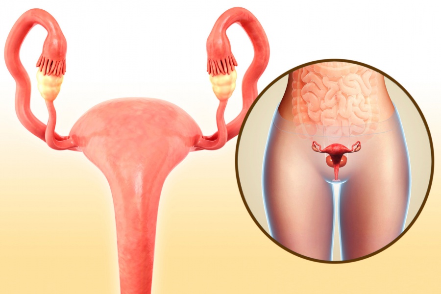 Особенности пластики маточных труб в Москве